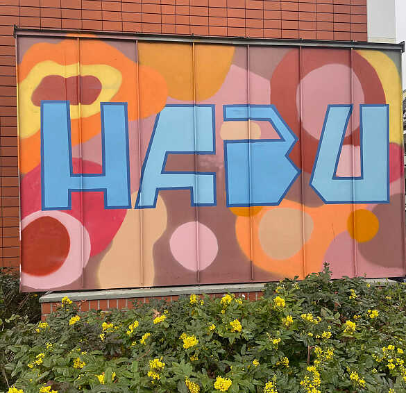 Hier sehen Sie Street-Art der Hamburger Str.