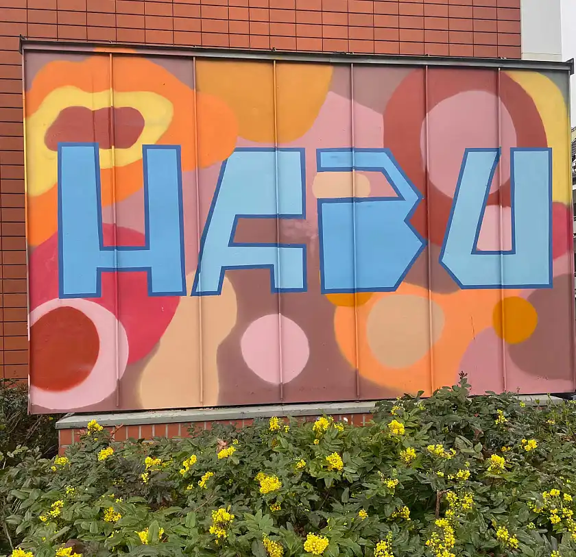 Hier sehen Sie Street-Art der Hamburger Str.